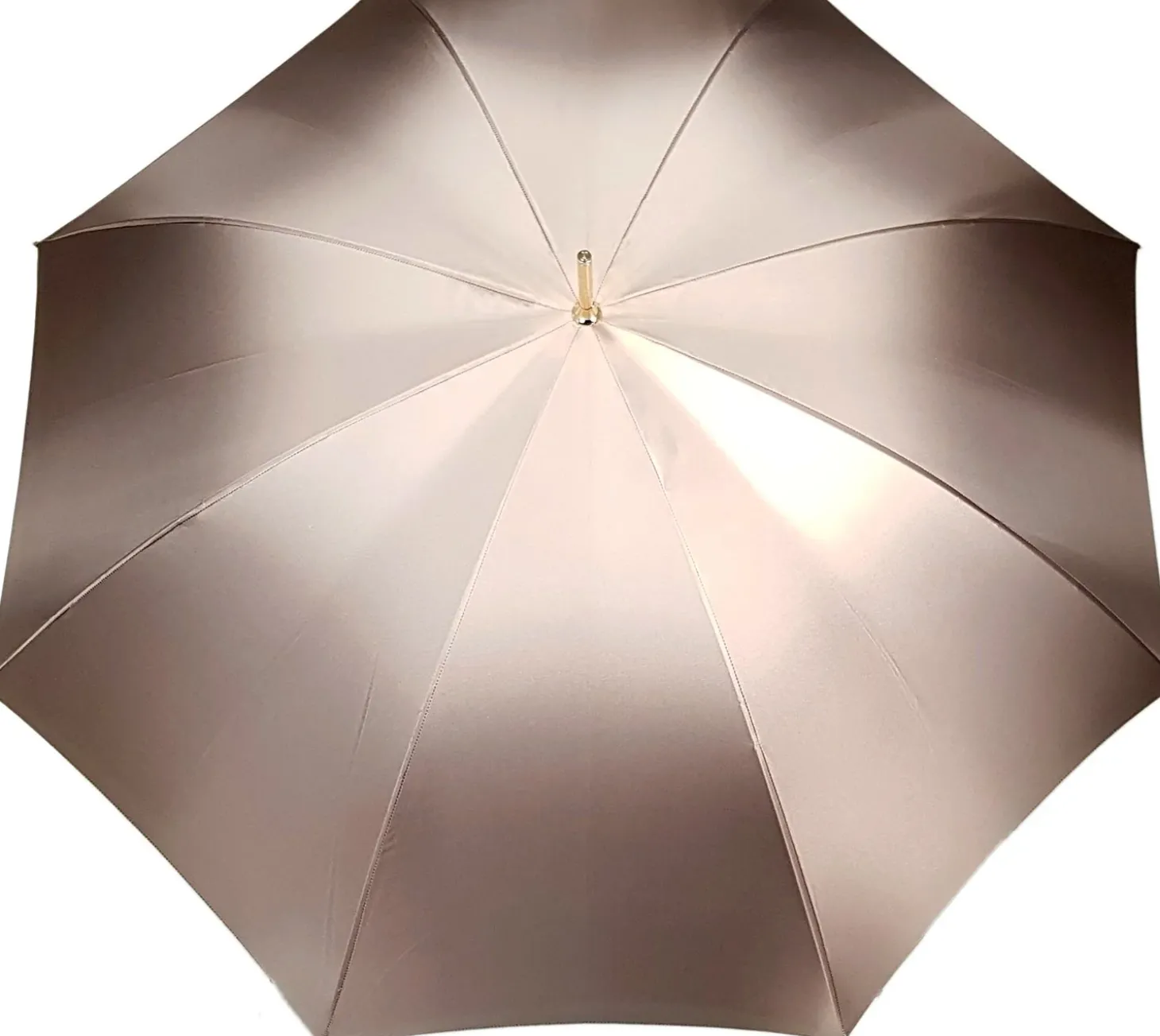 Awesome Dolphin Umbrella - Blue Rose Inside