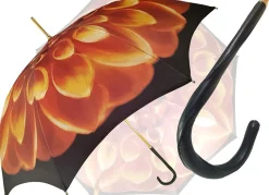 Beautiful Umbrella Features a Fantastic Flower