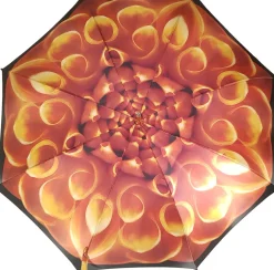 Beautiful Umbrella Features a Fantastic Flower