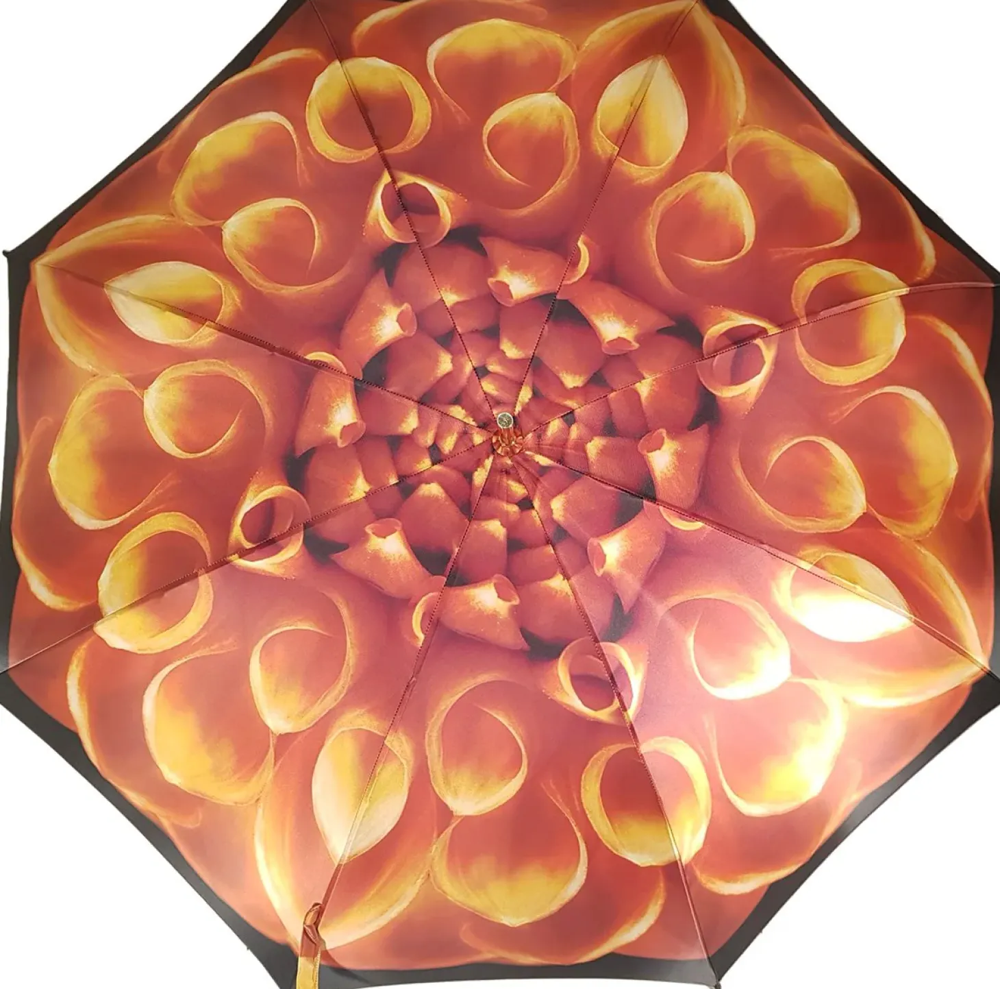 Beautiful Umbrella Features a Fantastic Flower