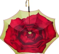 Beautiful Umbrella With Rose Design