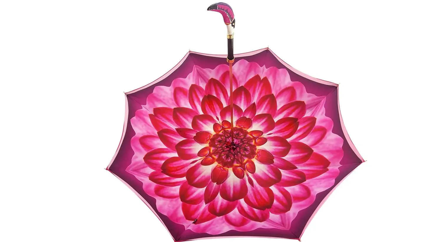 Beautifull Double Canopy Toucan Umbrella in a Luxurious Gradient Fuchsia Fashionable Umbrella