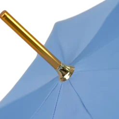 Blue Royalty: Light Blue Umbrella with Elegant Gold Handle