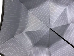 Double Cloth Men's Umbrella, Silver-plated Eagle