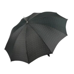 Dragon’s Fury: Black Umbrella with Fierce Dragon Handle
