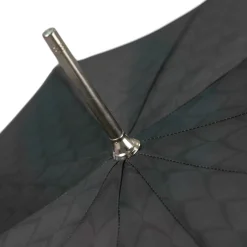 Dragon’s Fury: Black Umbrella with Fierce Dragon Handle