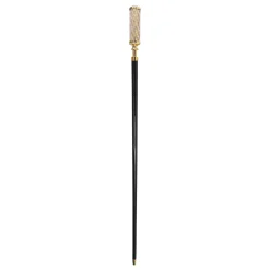 Elegant and stylish walking stick