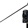 Elegant Cane with Sculpted Black Skull Handle and Gold Accents