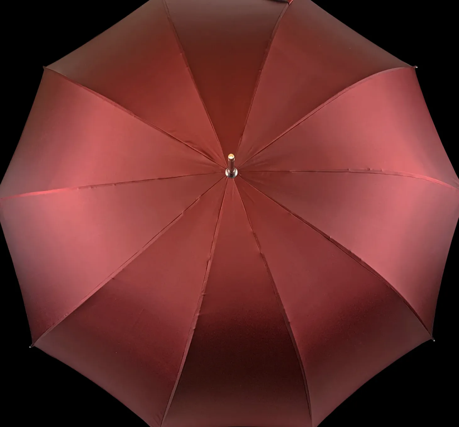 Elegant men's umbrella with silverplated Labrador