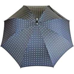 Exclusive umbrella design with Silver Plated handle