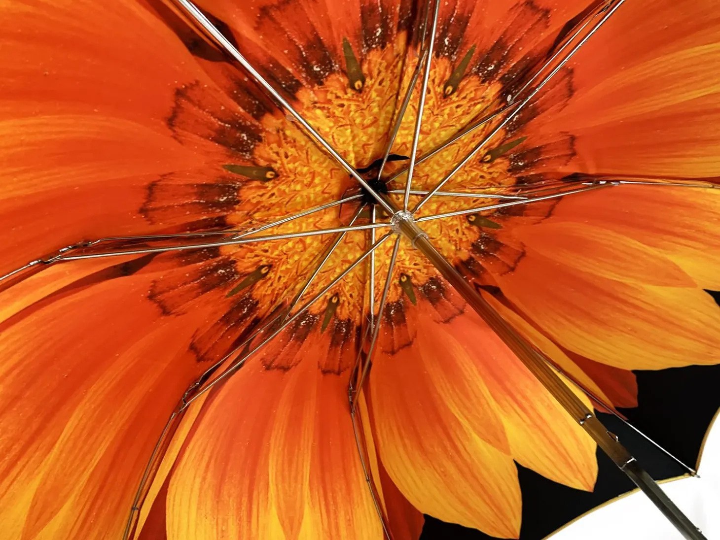 Exclusive umbrella Sunflower design
