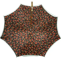 Fanciful Green Umbrella with Roses