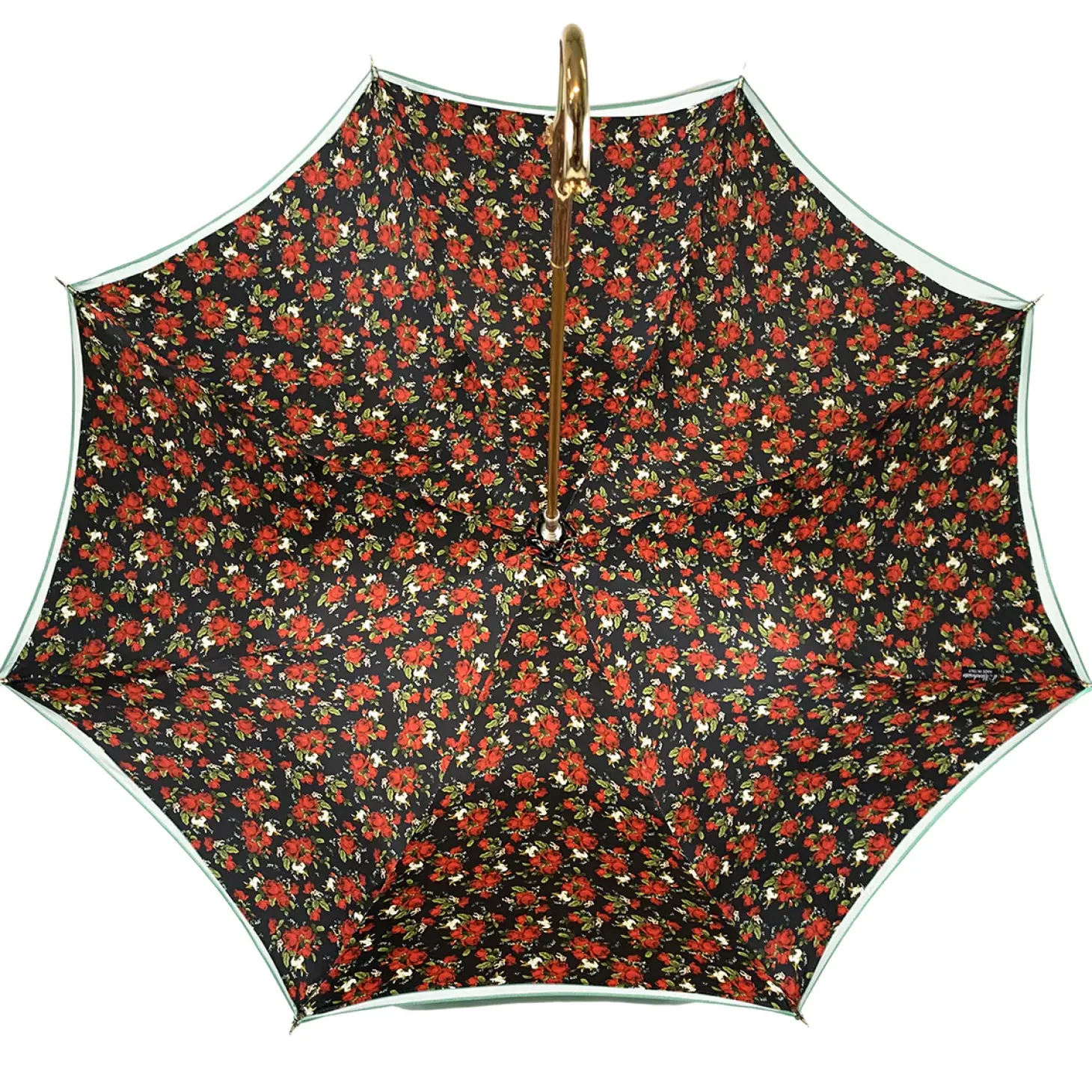 Fanciful Green Umbrella with Roses