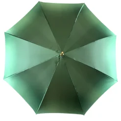 Fanciful Green Umbrella with Roses