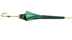 Fanciful Green Umbrella with Roses