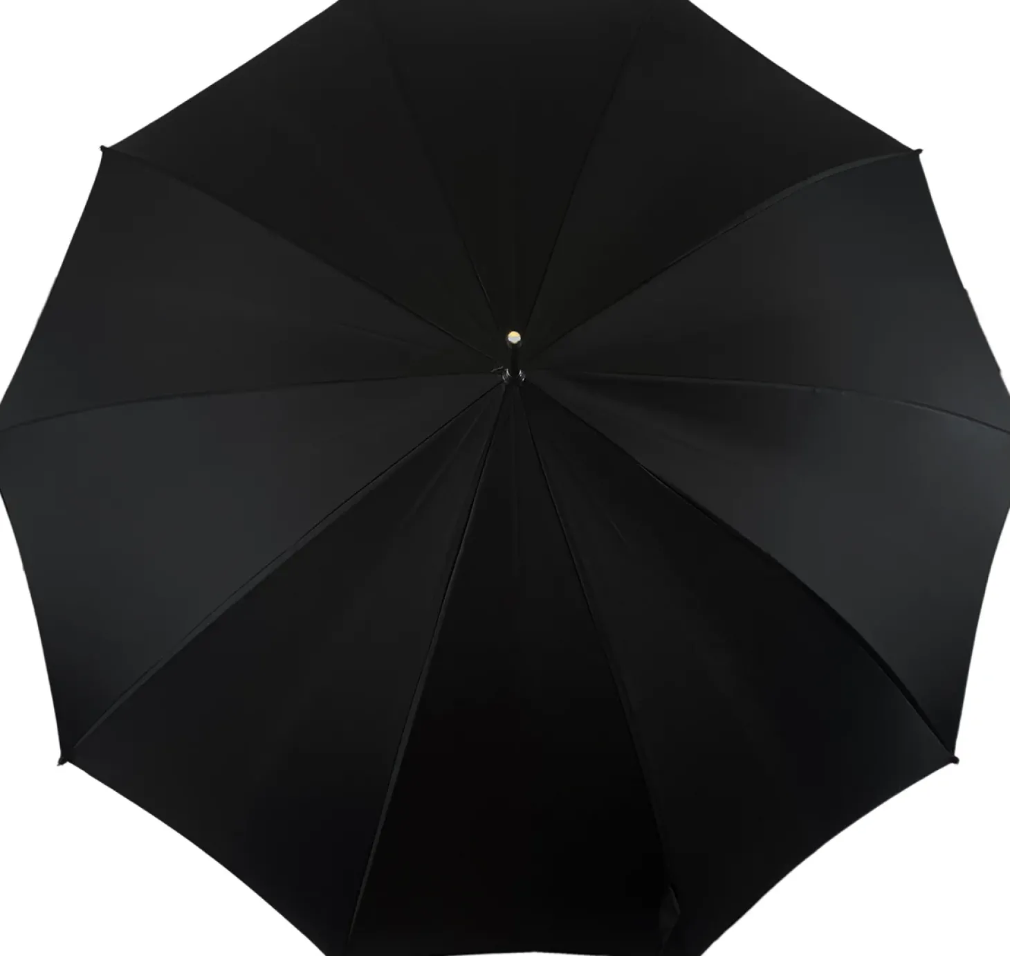 Fantastic Black umbrella for man with Silverplated Lion