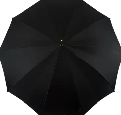 Fantastic Black umbrella for man with Silverplated Dragon