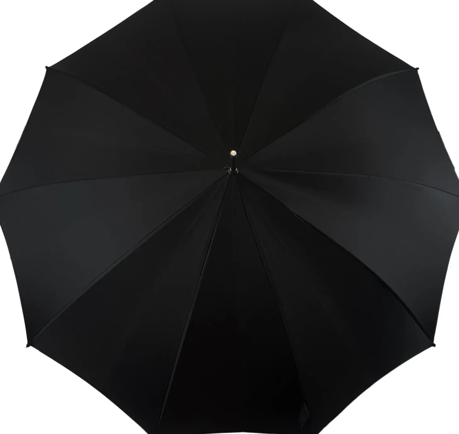 Fantastic Black umbrella for man with Silverplated Dragon