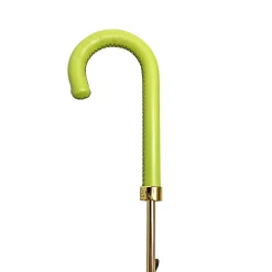 Fashionable black damask with fantastic green