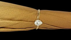 Golden Umbrella in a Fancy design