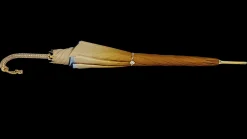 Golden Umbrella in a Fancy design