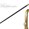 Goldplated Walking stick for Men
