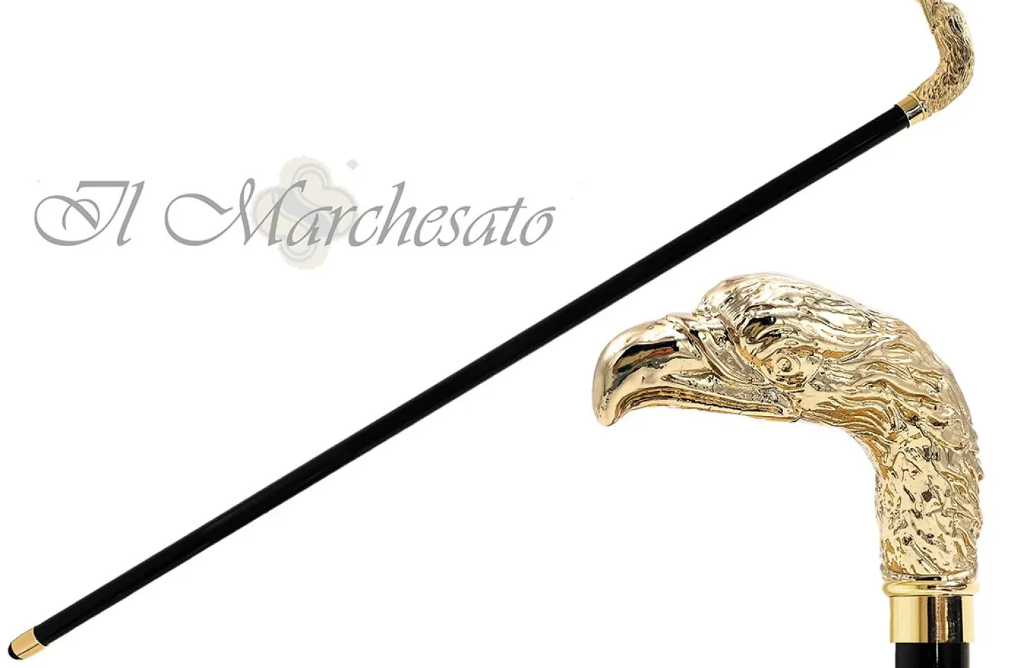 Hawk Collection - Exclusive Design