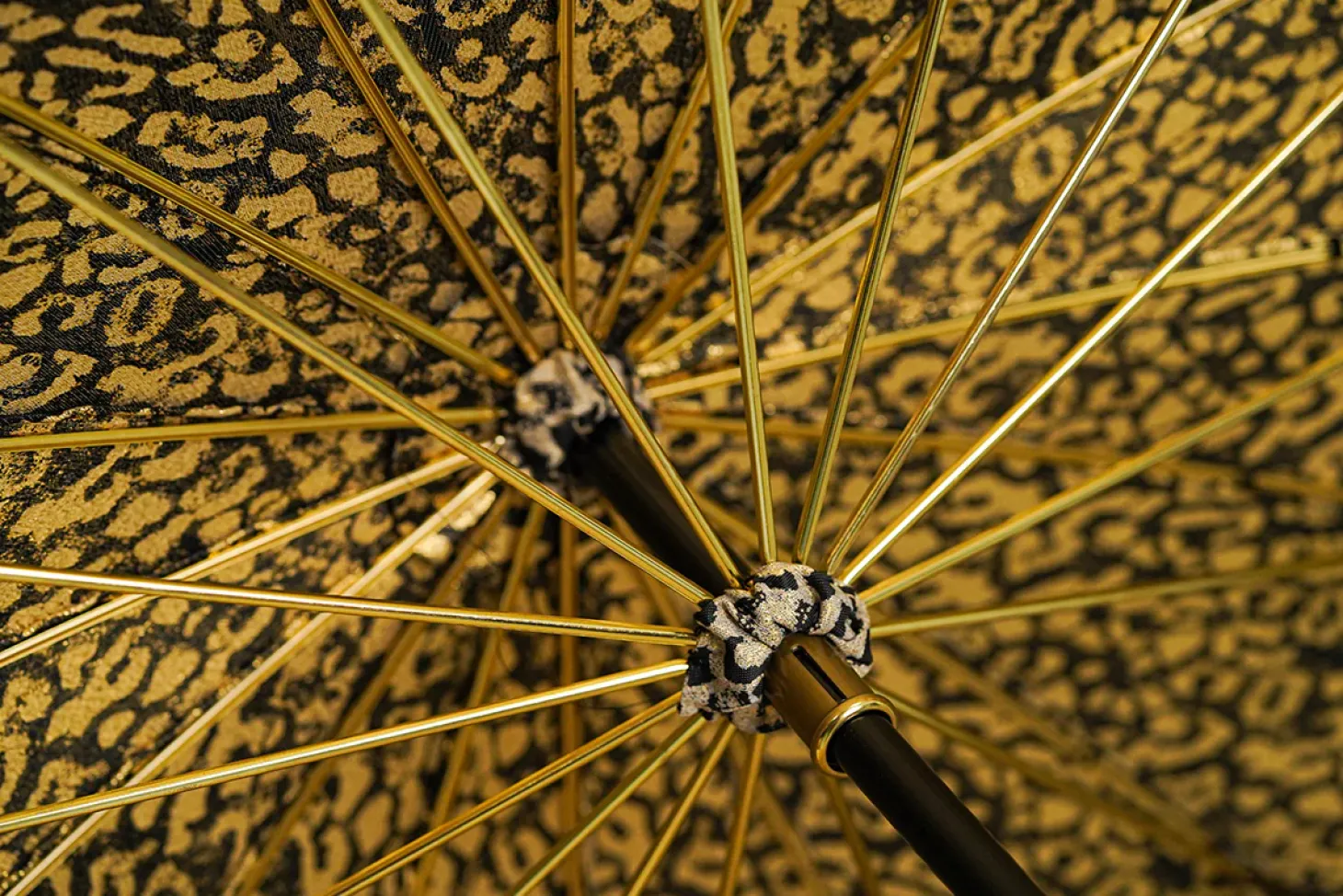 LIMITED COLLECTION - ilMarchesato exclusive Leopard design