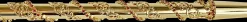 Luxury Gold plated 24K walking stick with Siam crystals