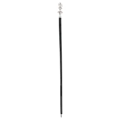 Mylord walking cane - Silverplated 925