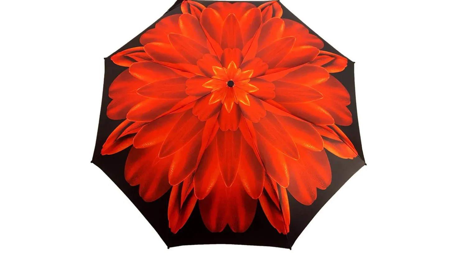 Red Flower Women's Folding Umbrella with Silver-Plated Handle
