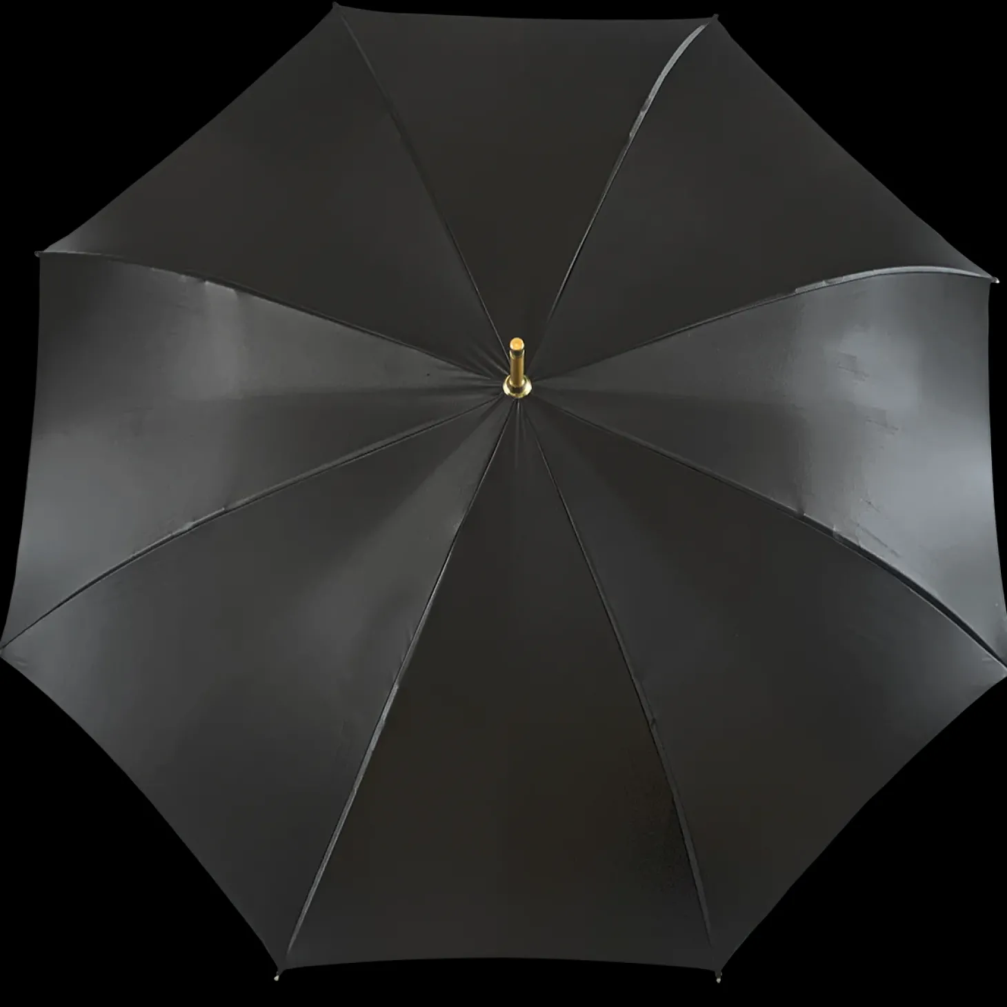 Simple and Elegant Black Umbrella with Animalier design