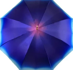 Sky Blue Gradient Umbrella, Daisies Print