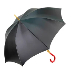 Stylish Black and Red Umbrella