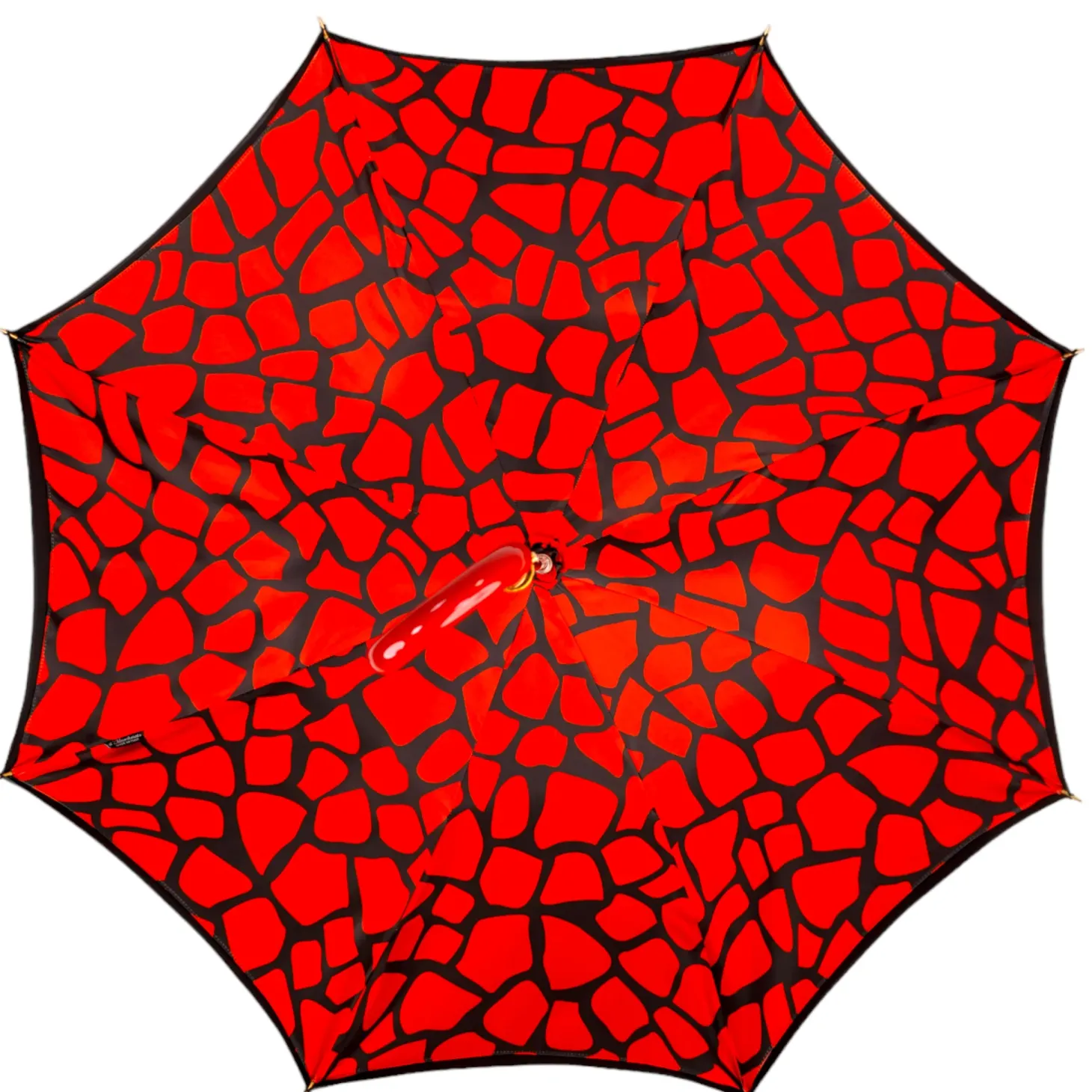 Stylish Black and Red Umbrella