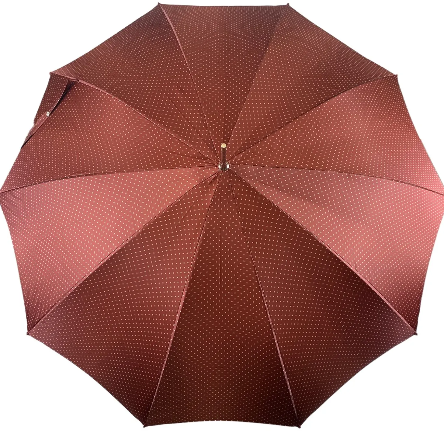 superb Umbrella with Hand-painted tiger
