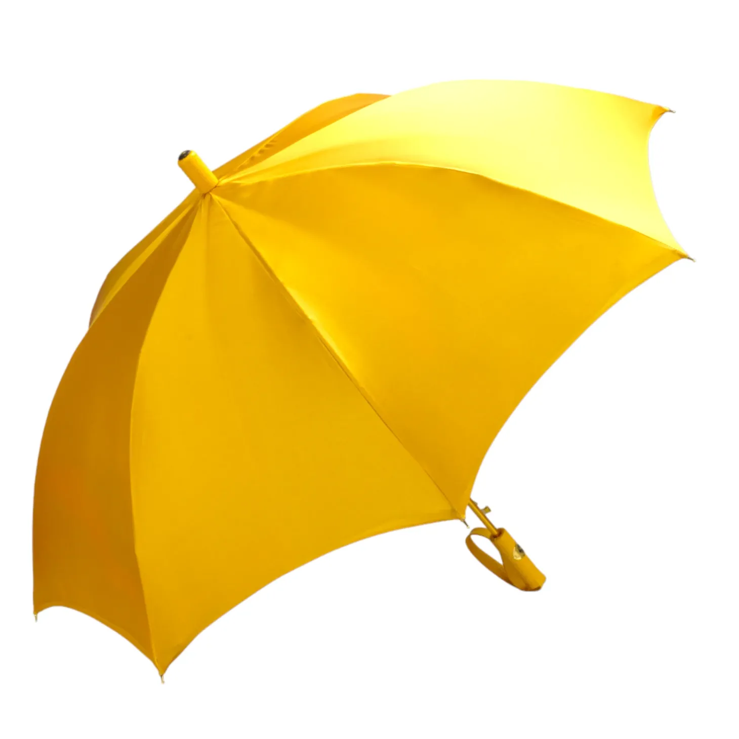 Umbrella with Painted Canvas Style Fabric - Leather handle