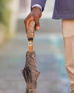 Umbrella with Ram's horn