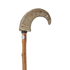 Umbrella with Ram's horn