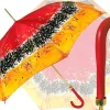 Wonderful Exclusive Painted Umbrella